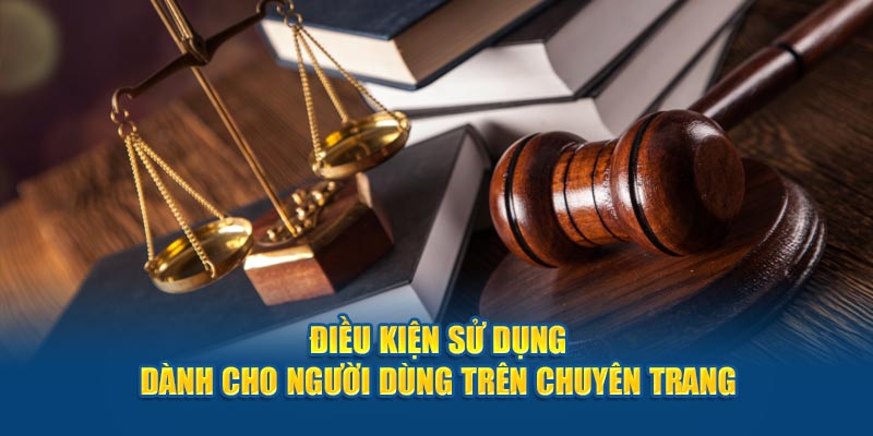 Điều kiện sử dụng dành cho người dùng trên chuyên trang