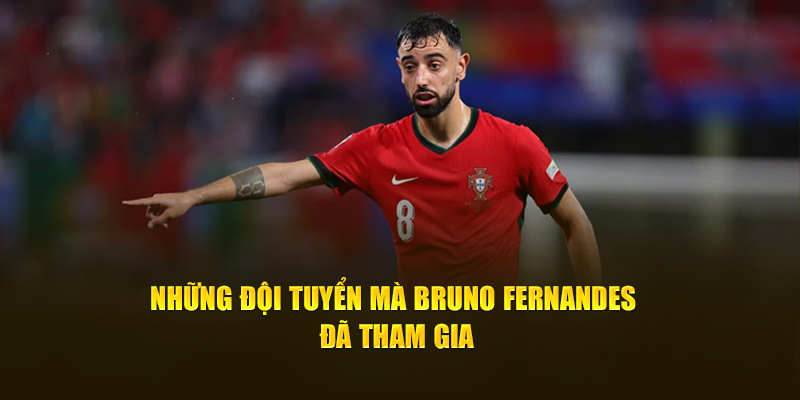 Những đội tuyển mà Bruno Fernandes đã tham gia