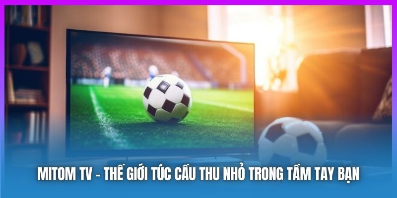 Mitom TV: Trải Nghiệm Xem Bóng Đá Đỉnh Cao Cho Người Hâm Mộ